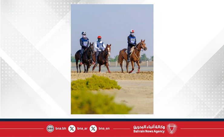 السبت.. إقامة السباق الرئيسي على كأس العيد الوطني .. مشاركة واسعة في السباقات الدولية والمحلية لبطولة العيد الوطني للقدرة